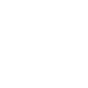 Multiformitet: